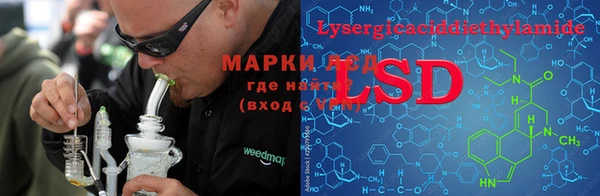 мдпв Новозыбков