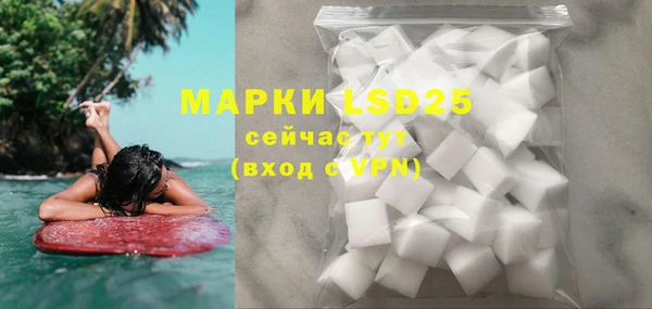 мдпв Новозыбков