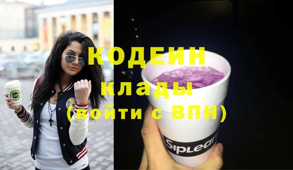 мдпв Новозыбков