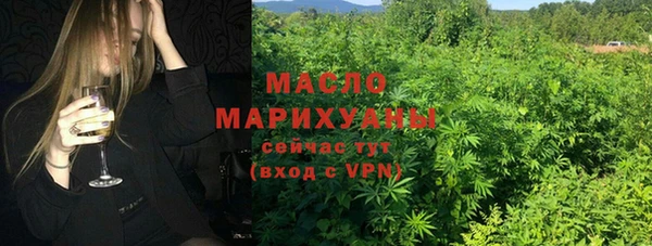 мдпв Новозыбков