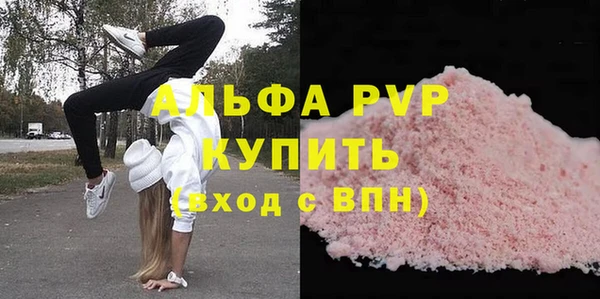 мдпв Новозыбков
