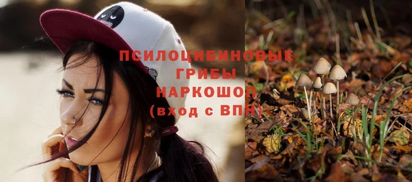 гашишное масло Новодвинск