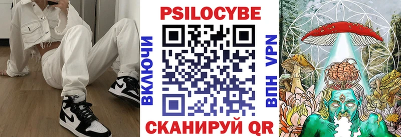 где можно купить наркотик  Тутаев  Галлюциногенные грибы мицелий 